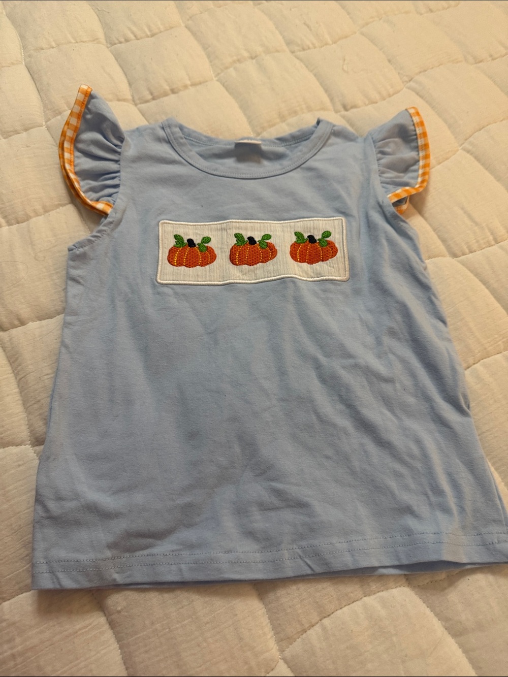 Girls Light Blue Pumpkin Appliqué Flutter Sleeve Top